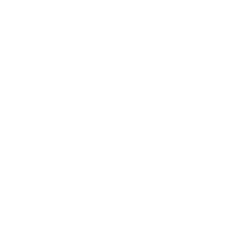 FIAM Logo